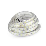 Bandă LED 5050 60 LEDs 24V IP65 6500K 5M