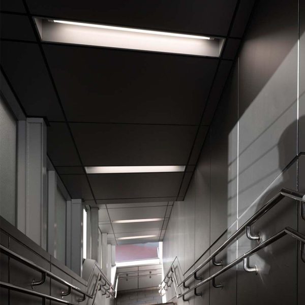 Tub LED T5 8W 60 cm 6500K