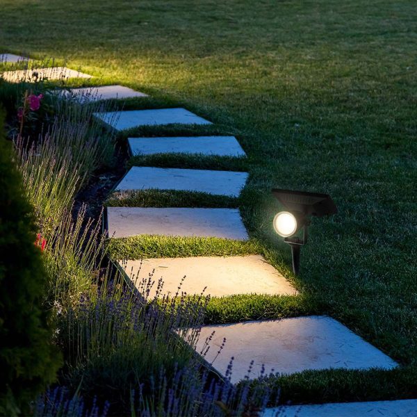 2W LED Solar Spike IP65 6400K